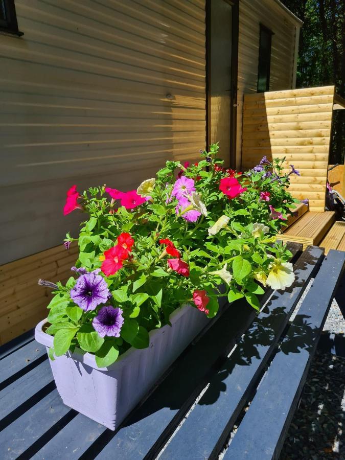 Unique Caravan With Outdoor Space Ballantrae Exterior foto